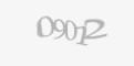 Защитный код