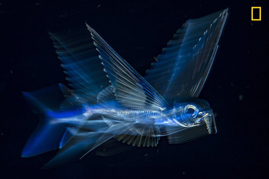 National Geographic best picture 13
