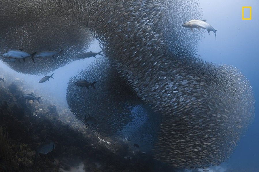 National Geographic best picture 14