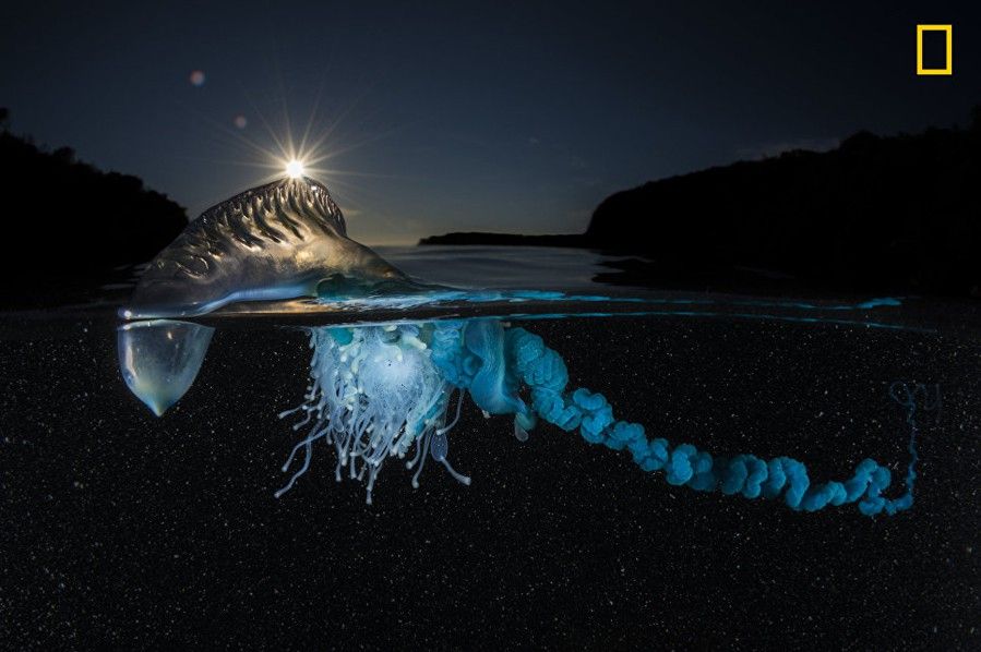 National Geographic best picture 15