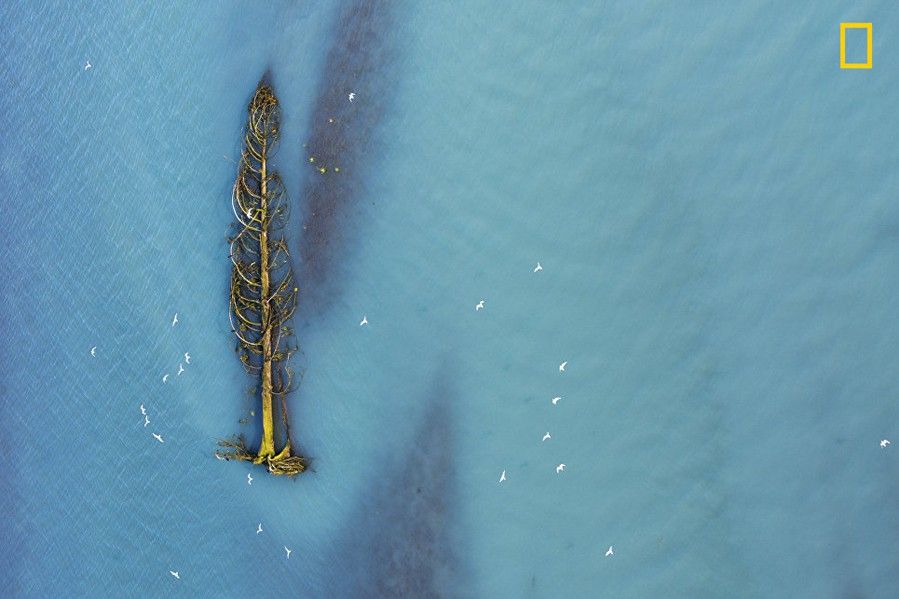 National Geographic best picture 19