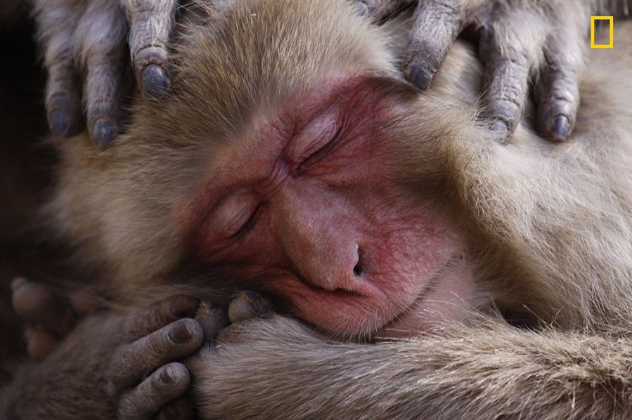 National Geographic best picture 4