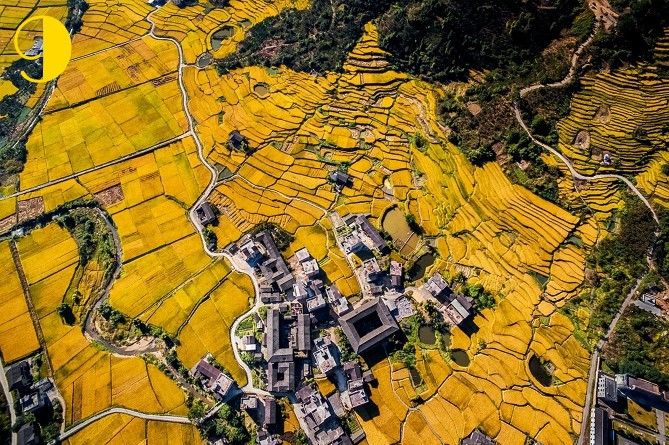 photo dron bomber 10 foto 9