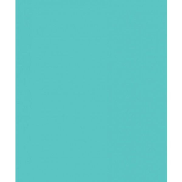 Фон Savage Widetone Baby Blue 1.36m x 11m