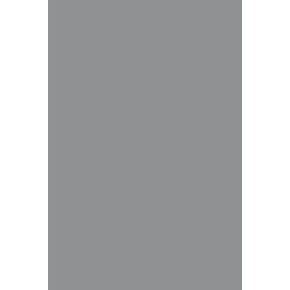 Фон Savage Widetone Fashion Gray рулон 2.18 x 11 м