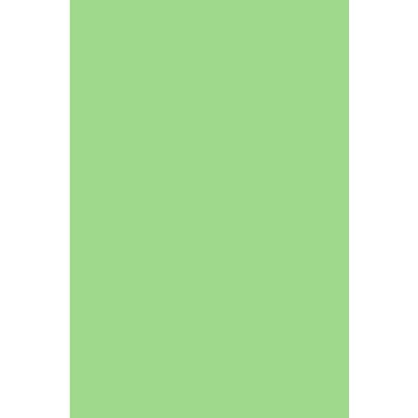 Фон Savage Widetone Mint Green 1.36x11м