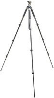Штатив Slik Sprint Pro III BH GM 1
