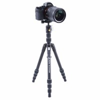 Штатив Vanguard Vesta TB 204ABS (Vesta TB 204ABS) 4