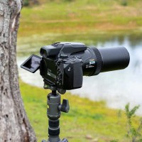 Штатив Vanguard VEO 3GO 235CB (VEO 3GO 235CB) 21
