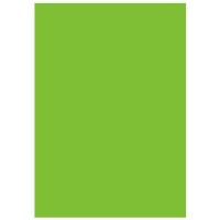 Фон Savage Infinity Vinyl Chroma Green 3.04x6.09м