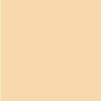 Фон Savage Widetone Beige 2.72x11м