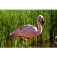 Объектив Tamron AF 70-300 F/4-5,6 Di VC USD для Nikon 2