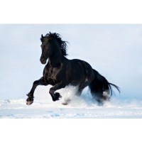 Объектив Tamron AF 70-300 F/4-5,6 Di VC USD для Nikon 3