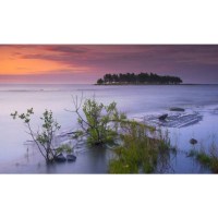 Объектив Tamron SP AF 17-50mm F/2,8 XR Di II LD Asp. (IF) для Canon 4