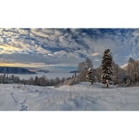 Объектив Tamron SP AF 17-50mm F/2,8 XR Di II LD Asp. (IF) для Canon 5
