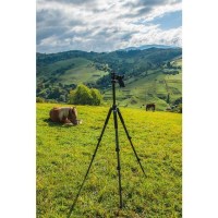 Штатив Vanguard Abeo Pro 283CGH 7