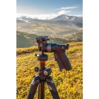 Штатив Vanguard Abeo Pro 283CGH 8