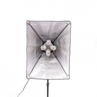 Набор постоянного света Visico FL-306 (50x70см) Double Kit 1